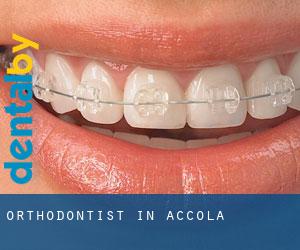 Orthodontist in Accola