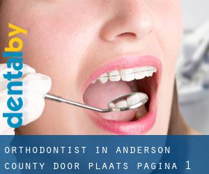 Orthodontist in Anderson County door plaats - pagina 1