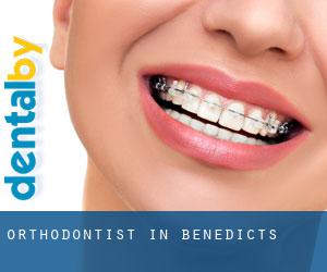Orthodontist in Benedicts