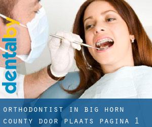 Orthodontist in Big Horn County door plaats - pagina 1