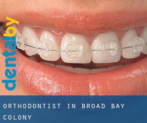 Orthodontist in Broad Bay Colony