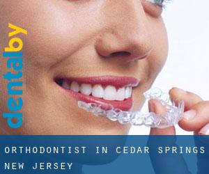 Orthodontist in Cedar Springs (New Jersey)