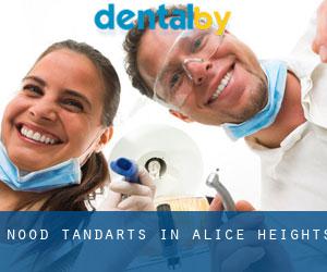 Nood tandarts in Alice Heights