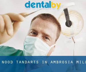 Nood tandarts in Ambrosia Mill