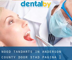 Nood tandarts in Anderson County door stad - pagina 1