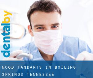 Nood tandarts in Boiling Springs (Tennessee)