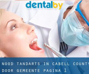 Nood tandarts in Cabell County door gemeente - pagina 1