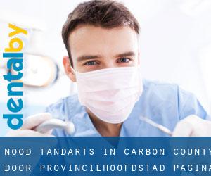 Nood tandarts in Carbon County door provinciehoofdstad - pagina 1