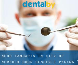 Nood tandarts in City of Norfolk door gemeente - pagina 1