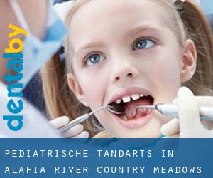 Pediatrische tandarts in Alafia River Country Meadows