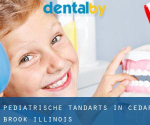 Pediatrische tandarts in Cedar Brook (Illinois)