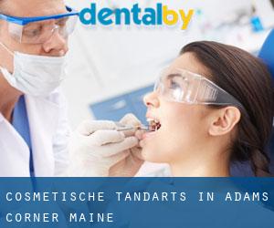 Cosmetische tandarts in Adams Corner (Maine)