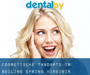 Cosmetische tandarts in Boiling Spring (Virginia)
