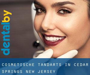 Cosmetische tandarts in Cedar Springs (New Jersey)