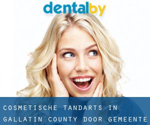 Cosmetische tandarts in Gallatin County door gemeente - pagina 1