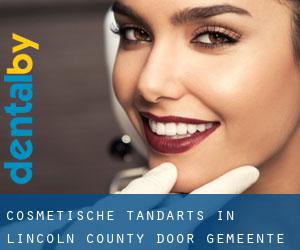 Cosmetische tandarts in Lincoln County door gemeente - pagina 1