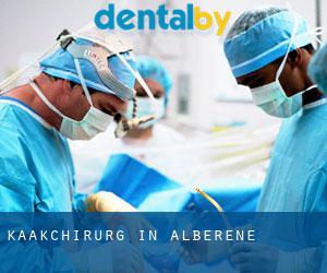 Kaakchirurg in Alberene