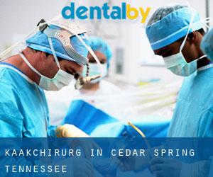 Kaakchirurg in Cedar Spring (Tennessee)