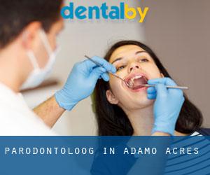 Parodontoloog in Adamo Acres