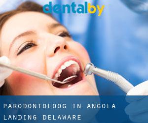 Parodontoloog in Angola Landing (Delaware)