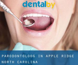 Parodontoloog in Apple Ridge (North Carolina)