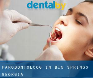Parodontoloog in Big Springs (Georgia)