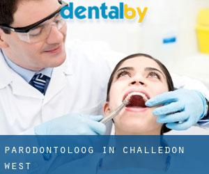 Parodontoloog in Challedon West