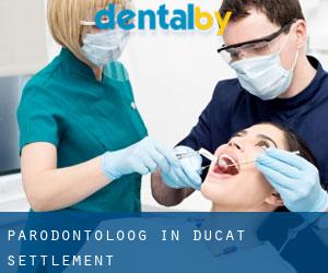 Parodontoloog in Ducat Settlement