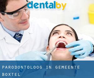 Parodontoloog in Gemeente Boxtel