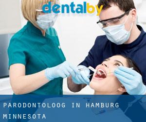 Parodontoloog in Hamburg (Minnesota)
