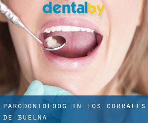 Parodontoloog in Los Corrales de Buelna