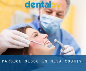 Parodontoloog in Mesa County
