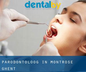 Parodontoloog in Montrose-Ghent