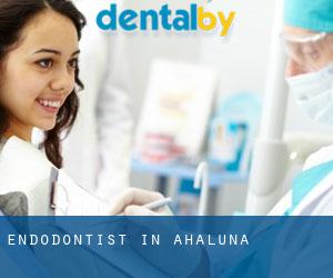 Endodontist in Ahaluna