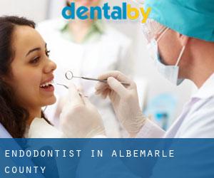 Endodontist in Albemarle County