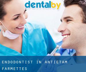 Endodontist in Antietam Farmettes