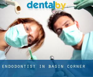 Endodontist in Basin Corner