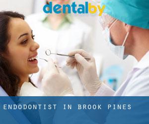 Endodontist in Brook Pines