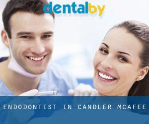 Endodontist in Candler-McAfee