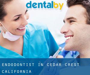 Endodontist in Cedar Crest (California)