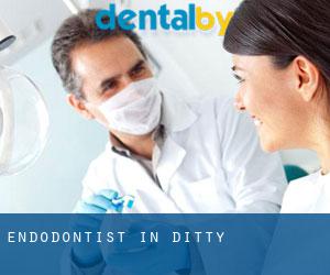 Endodontist in Ditty