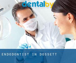 Endodontist in Dossett