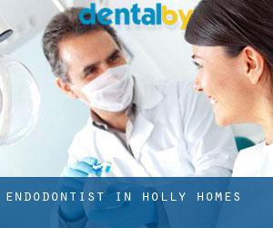 Endodontist in Holly Homes
