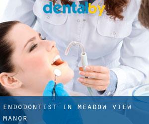 Endodontist in Meadow View Manor