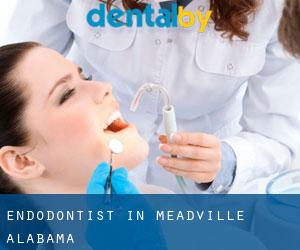 Endodontist in Meadville (Alabama)