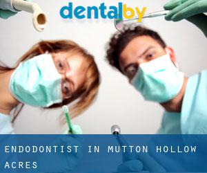 Endodontist in Mutton Hollow Acres