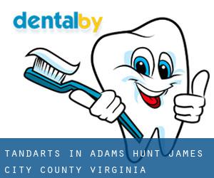 tandarts in Adams Hunt (James City County, Virginia)