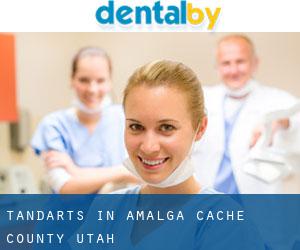 tandarts in Amalga (Cache County, Utah)