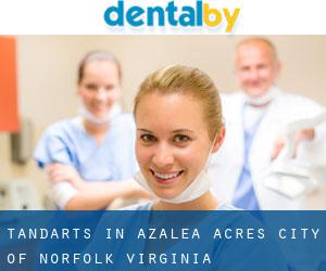 tandarts in Azalea Acres (City of Norfolk, Virginia)