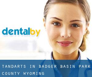 tandarts in Badger Basin (Park County, Wyoming)